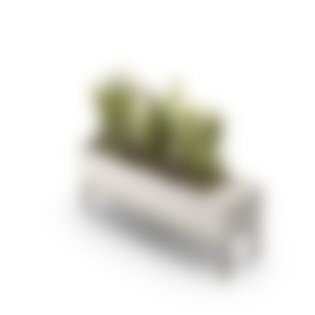 Standing Planter – Bild 3