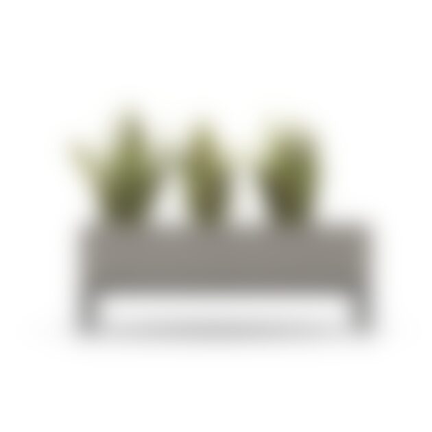 Standing Planter